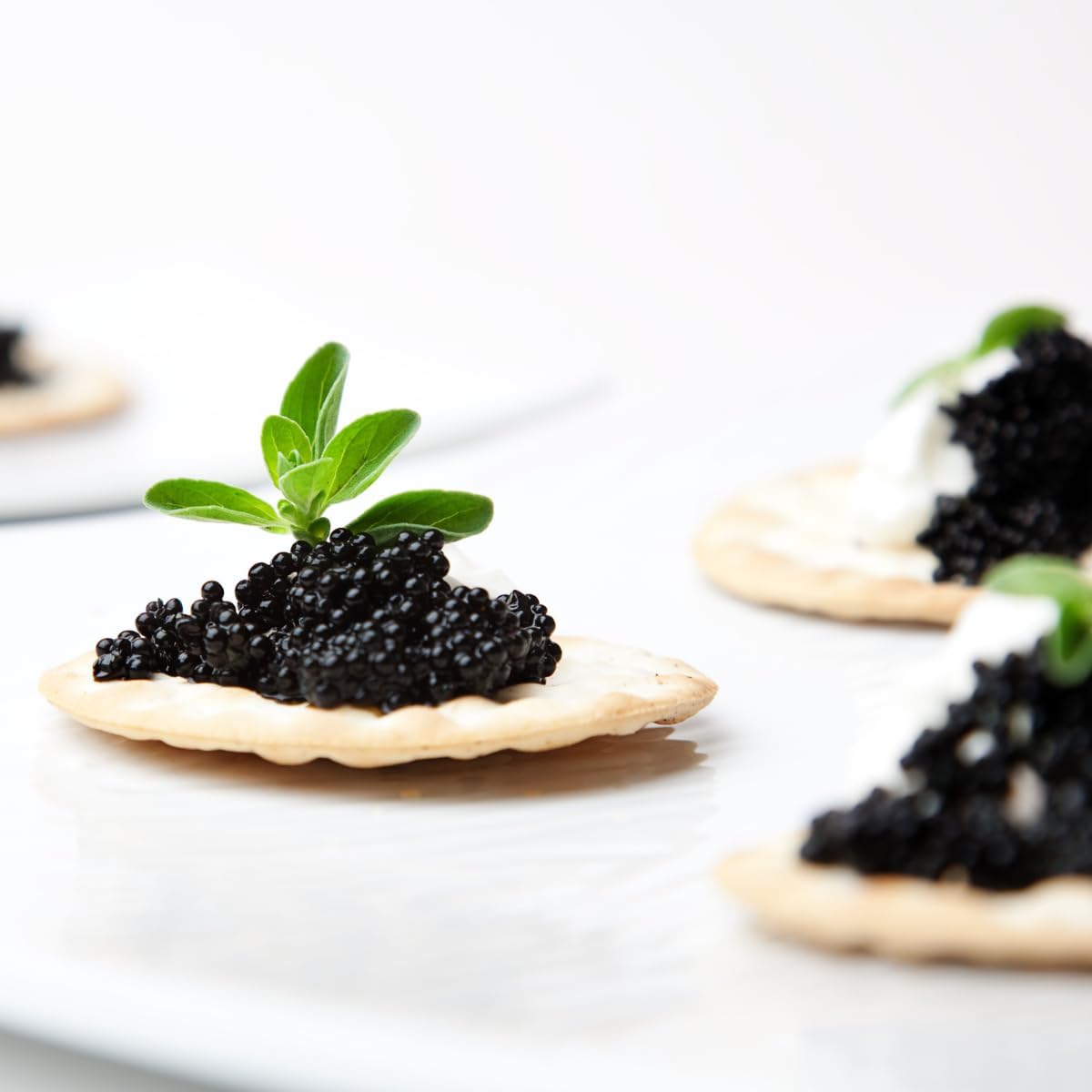 CAVIALE BELUGA HUSO HUSO